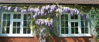 timber alternative windows oxfordshire