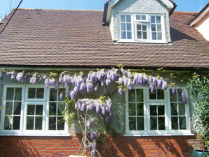 05 Timber Alternative Windows oxford